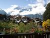 Apartamentos Chalet Soldanella
