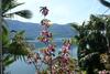 Bed & Breakfast Residenza Bettina