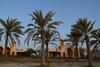 Villa Golden Tulip Al Jazira Bungalows