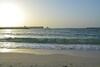 Villa Golden Tulip Al Jazira Bungalows