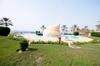Villa Golden Tulip Al Jazira Bungalows