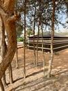Rak Glamping