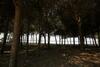 Apartamento Pine-tree Apt W/ Private Garden 50 M From The Sea