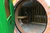 Hostal Cozy House