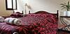 Coya Hostel