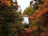 Caba�as Modernas de Dise�o En Bosque