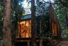 Caba�as Modernas de Dise�o En Bosque