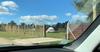 Bed & Breakfast Saimons Glamping