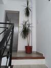Apartamento Chelena
