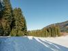 Dachstein Chalet