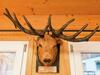 Spacious Chalet In Annaberg-lung�tz With Sauna