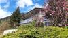 Berg'nsee - Ferienhaus Ossiacher See By Seebnb