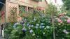 Hostal G�stehaus Der Gamser Winzerstube