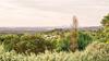 Foxglove Villa - New Listing