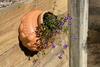 Nature Lovers Delight // Architecturally Designed