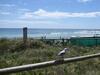 Rainbow Pacific Unit 2 - Right On The Beach In Rainbow Bay Coolangatta Gold Coast