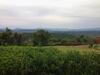 Hostal Protea Wilds Retreat