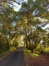 Lodge Karriview Margaret River