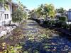 Immaculate 1 Bedroom Resort Holiday Unit Near Noosa River