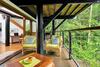 The Secret Treehouse