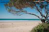Bonny Beach House - Holiday Accomodation With Pool
