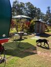 Fraser Coast Rv Park - Gypsy Wagon