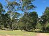Fraser Coast Rv Park - Gypsy Wagon