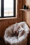 Lodge La Cabane Ofuro