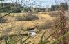Apartamento Monas Natur-oase