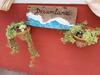 Bed & Breakfast Dreamland B�zios