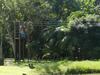 Hotel Bosques Do Massagua�u