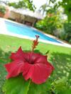 Villa Roma Beach Hotel