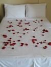 Hostal Pousada Alem�o Do Litoral
