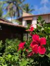 Hostal Pousada P�r Do Sol