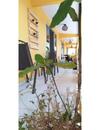 Hostal Pousada Flor De Maragogi