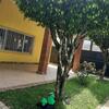 Hostal Hostel Ohana Beach