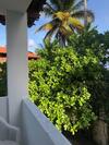 Hostal Pousada Beach Garden