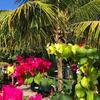 Hostal Pousada Beach Garden