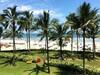 Apartamento Ap � Beira-mar Com Lazer Completo Em Riviera Sp