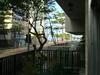 Apartamento Ipanema 50m Da Praia Com Garagem