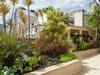 Apartamento P� Na Areia Mercury Arpoardor