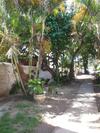Hostal Pousada Ilha Maravilha