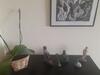 Apartamento Humait�, Zona Sul!