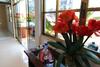 Apartamento Ipanema Swimming Pool Fa