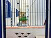Hostal Farfalla Guest House