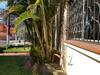 Bed & Breakfast Casa Summer Hostel