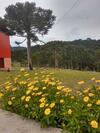 Hostal Pousada Bela Tereza