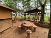 Apartamento �guas Da Serra Family