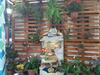Hostal Pousada Guaru�a
