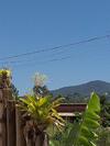 Casa Natturvibe - Praia Do Rosa